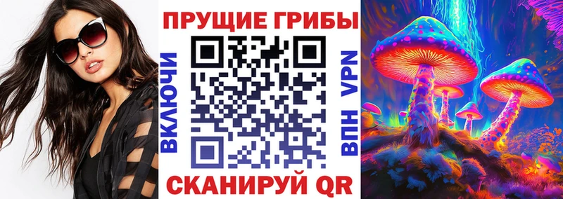 Псилоцибиновые грибы мицелий  Спасск-Рязанский 